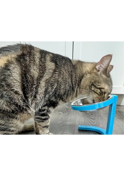 Çok Renkli Yükseltilmiş Evcil Hayvan Mama ve Su Kabı, 500 ml