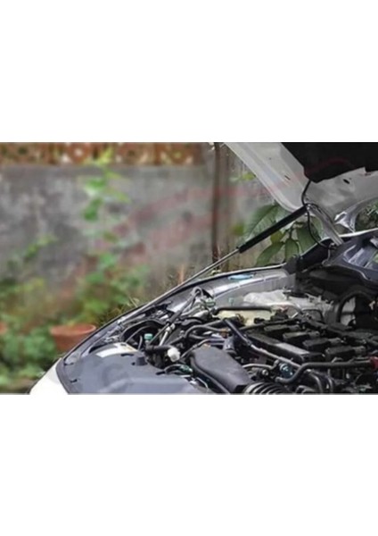 Honda Civic Fc5 Kaput Amortisör Takımı modelleri