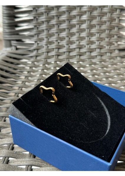 Gold Renk Paslanmaz Çelik Küpe fiyatları