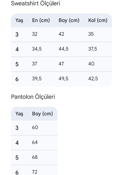Erkek Çocuk Üç Iplik Içi Şardonlu Alt Üst Takım Uzun Kollu Sweat ve Lastikli Paça Pantolon