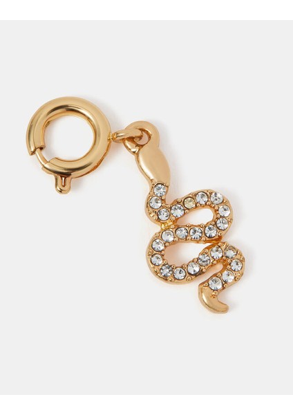 Yılan Charm