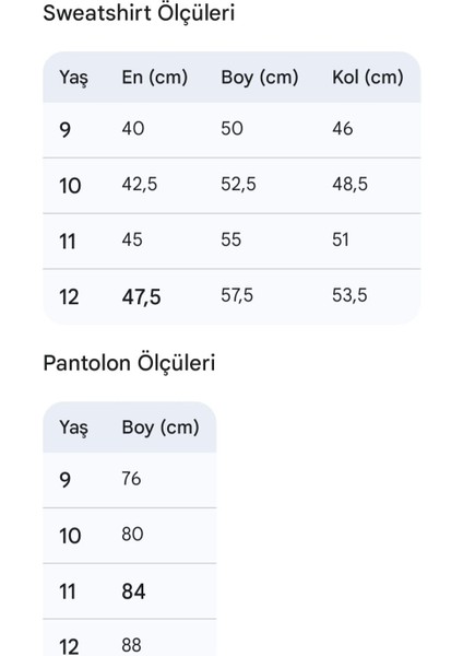Erkek ve Kız Çocuk Üç Iplik Içi Şardonlu Alt Üst Takım Uzun Kollu Sweat ve Lastikli Paça