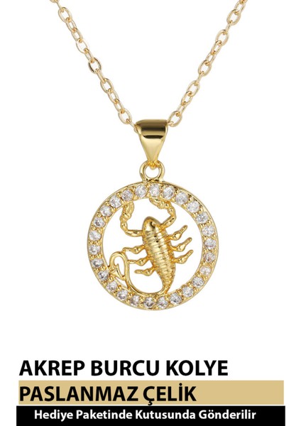 12 Burç Sembolü Zirkon Taşlı Zarif Kadın Paslanmaz Altın Kaplama Çelik Burç Kolye
