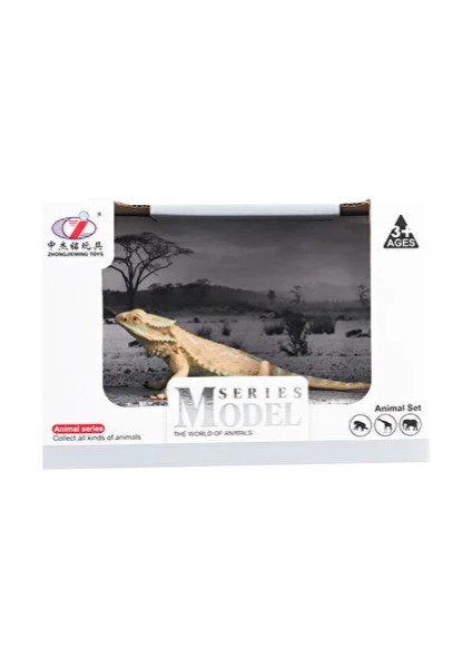 Oyuncak Kutulu Model Sakallı Kertenkele