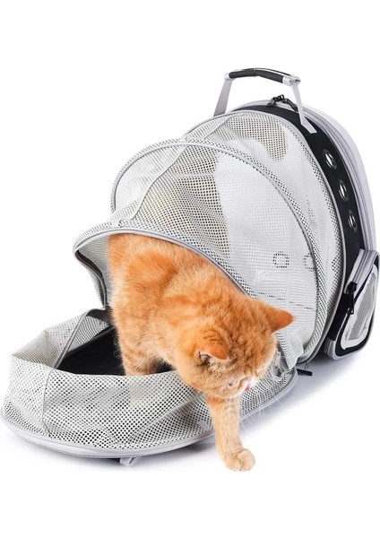 Açılabilir, Genişletilebilir, Şeffaf Evcil Hayvan Taşıma Çantası, Kedi ve Köpek Için fiyatları