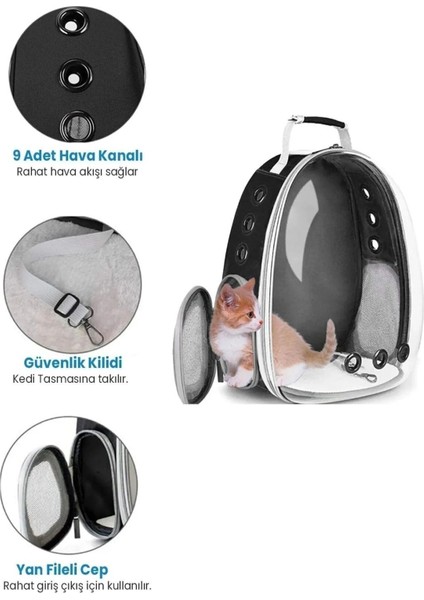 Açılabilir, Genişletilebilir, Şeffaf Evcil Hayvan Taşıma Çantası, Kedi ve Köpek Için fırsatları