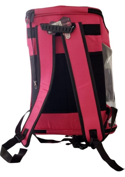 Şeffaf Desenli Kırmızı Evcil Hayvan Sırt Çantası Orta Boy modelleri