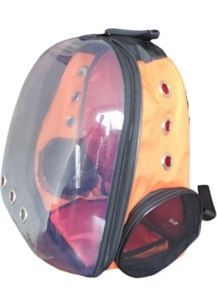 Turuncu Şeffaf Elastik Pvc Taşıma Çantası, Kedi ve Köpekler Için Ideal.