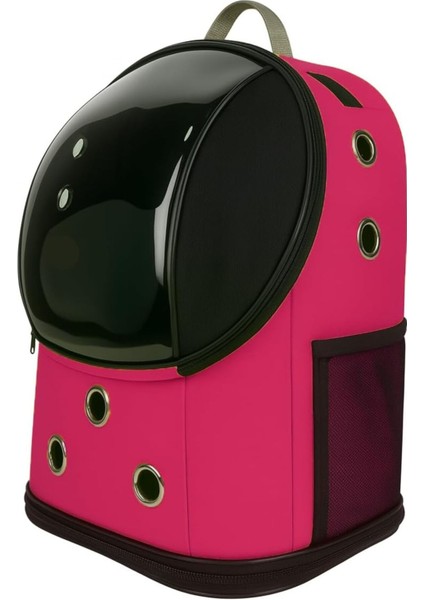 Fileli Şeffaf Yıkanabilir Büyük Evcil Hayvan Taşıma Çantası