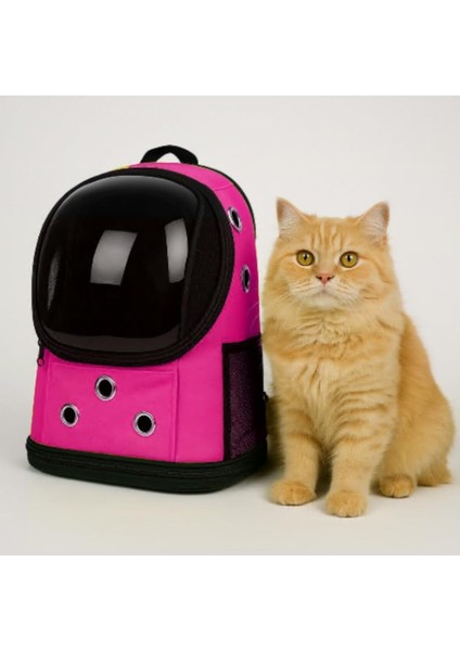 Fileli Şeffaf Yıkanabilir Büyük Evcil Hayvan Taşıma Çantası modelleri