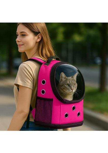 Fileli Şeffaf Yıkanabilir Büyük Evcil Hayvan Taşıma Çantası fırsatları