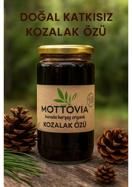 Organik Çam Kozalak Özü(Pekmezi) fiyatları