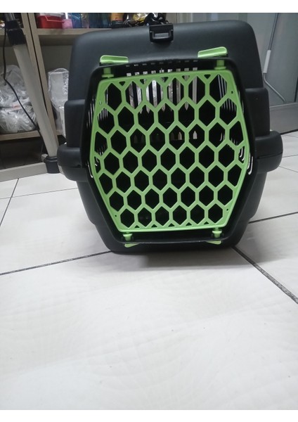 Yeşil Kedi Taşıma Kafesi ve 100G Malt Pastası Hediye modelleri