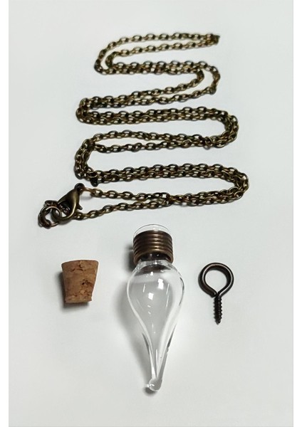 Zengezur Boş Fanus Canlı Kolye-Şeffaf fiyatları