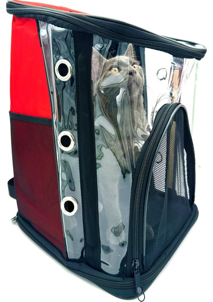 Kırmızı Kedi ve Köpek Taşıma Sırt Çantası, Rahat ve Şık Tasarım