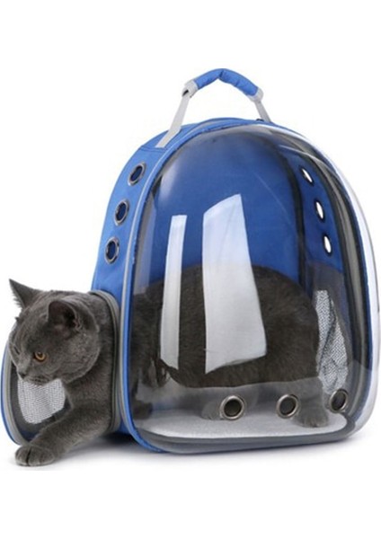Mavi Kedi ve Köpek Taşıma Çantası, Rahat ve Şık Seyahat Arkadaşı