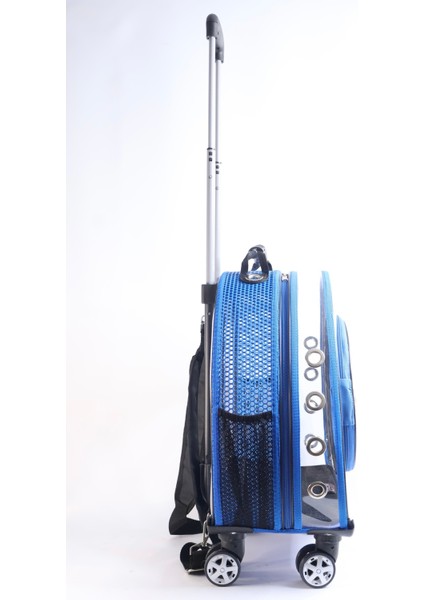 Mavi Şeffaf Taşıma Çantası Kedi ve Köpek Için Fileli, Kompakt ve Hafif fiyatları