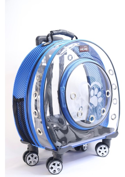 Mavi Şeffaf Taşıma Çantası Kedi ve Köpek Için Fileli, Kompakt ve Hafif modelleri