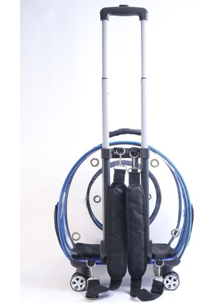 Mavi Şeffaf Taşıma Çantası Kedi ve Köpek Için Fileli, Kompakt ve Hafif fırsatları