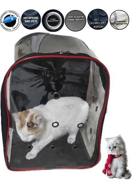 Siyah Evcil Hayvan Taşıma Çantası, Rahat ve Hafif Sırt Çantası