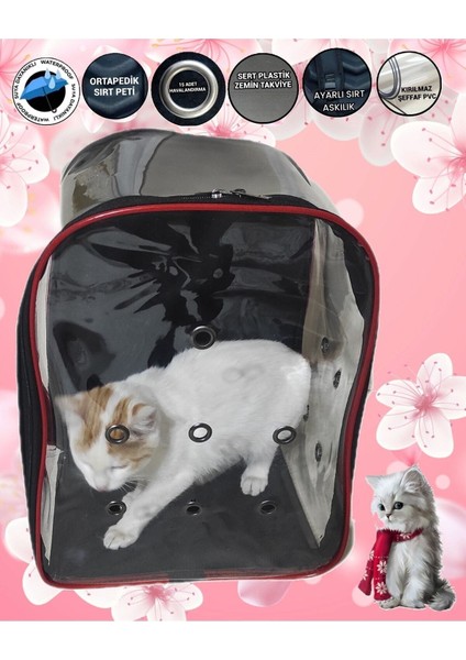 Siyah Evcil Hayvan Taşıma Çantası, Rahat ve Hafif Sırt Çantası