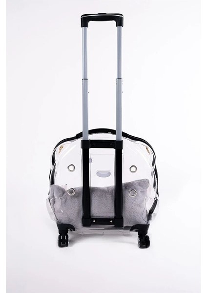 Turuncu Tekerlekli Şeffaf Taşıma Çantası, Kedi ve Köpekler Için Uygun modelleri