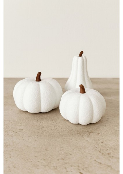 3'lü Balkabağı Dekor Set