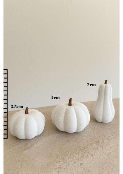 3'lü Balkabağı Dekor Set fiyatları