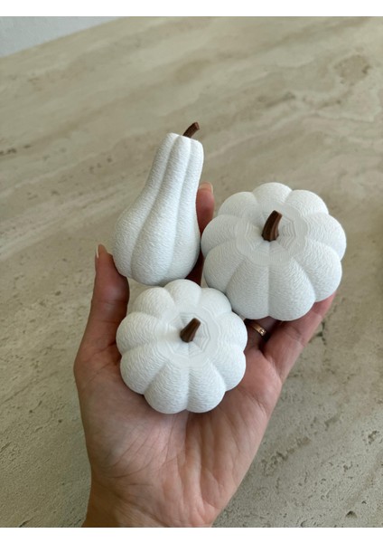 3'lü Balkabağı Dekor Set modelleri