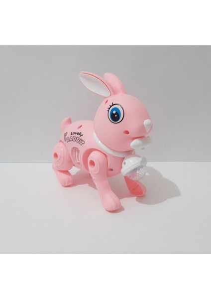 17.5X15 cm Pilli Oyuncak Yürüyen Tavşan Çocuklar Için Hediye fiyatları