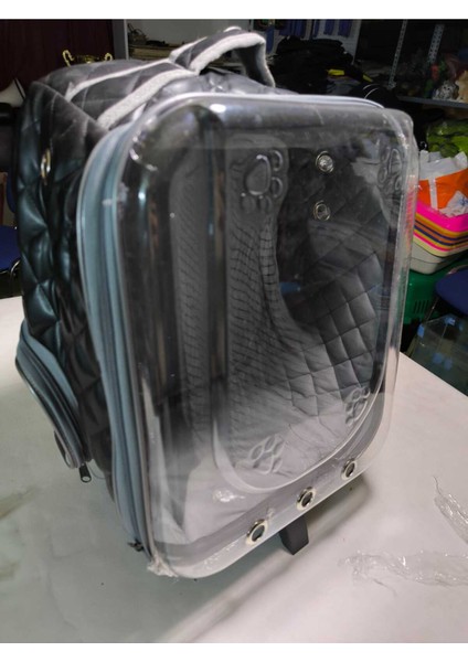 Renkli Tekerlekli Evcil Hayvan Taşıma Çantası, Çok Renkli, Plastik, Pratik ve Şık