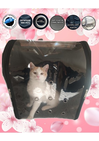 Siyah Evcil Hayvan Taşıma Çantası, Konforlu ve Şık Seyahat Için Ideal