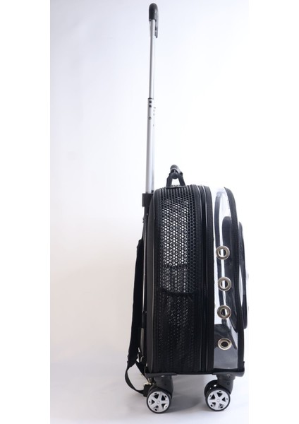 Şeffaf Büyük Kedi ve Köpek Taşıma Çantası, Havalı ve Pratik Tasarım fiyatları