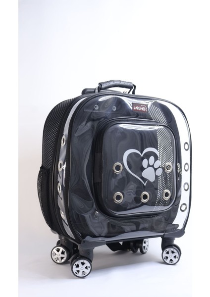 Şeffaf Büyük Kedi ve Köpek Taşıma Çantası, Havalı ve Pratik Tasarım modelleri