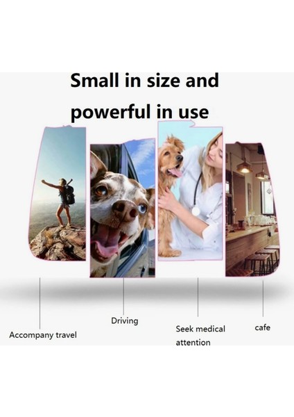 Yeşil Taşınabilir Köpek ve Kedi Sırt Çantası Katlanabilir Seyahat Çantası fiyatları