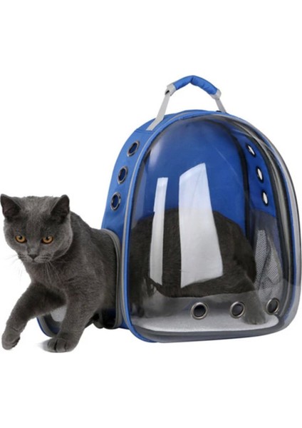 Şeffaf Evcil Hayvan Taşıma Çantası, Mavi ve Dayanıklı Kalın Cam ile Rahat Kullanım fiyatları