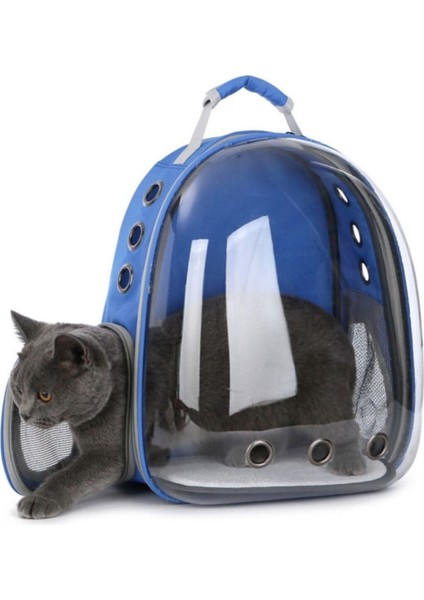 Şeffaf Evcil Hayvan Taşıma Çantası, Mavi ve Dayanıklı Kalın Cam ile Rahat Kullanım modelleri