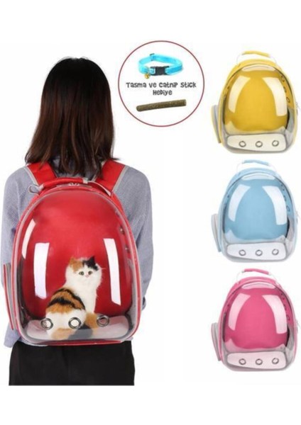 Şeffaf Evcil Hayvan Taşıma Çantası, Mavi ve Dayanıklı Kalın Cam ile Rahat Kullanım