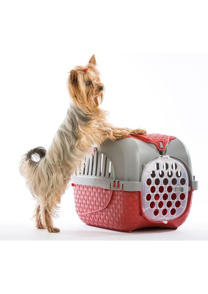 Bordo Renkli Evcil Hayvan Taşıma Çantası, Rahat ve Güvenli Seyahat Için Uygun fiyatları