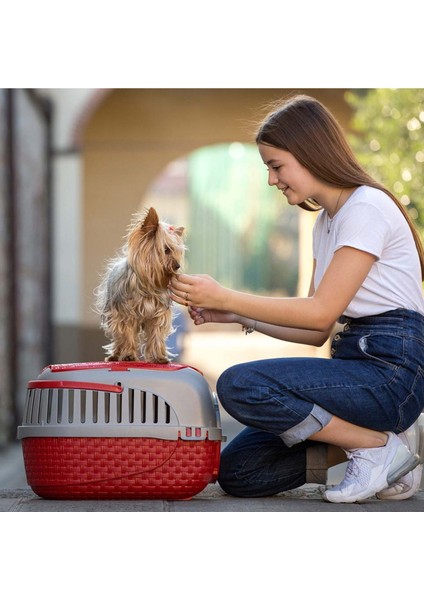 Bordo Renkli Evcil Hayvan Taşıma Çantası, Rahat ve Güvenli Seyahat Için Uygun modelleri