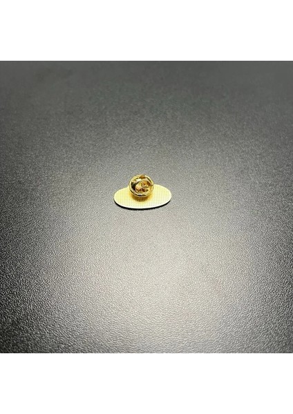 Kadın Şapka Rozet Kawaii Şapka Kadın Broş Pin Mineli Metal Çanta Süsü fiyatları