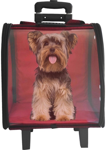 Kırmızı Taşıma Çantası, Pratik ve Hafif, Evcil Hayvanlar Için Güvenli Seçenek modelleri