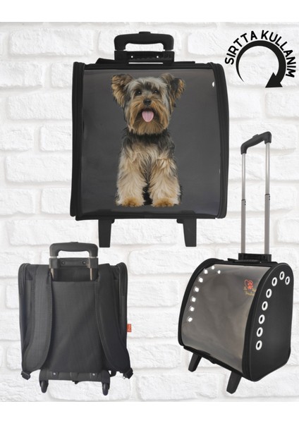 Siyah Taşıma Çantası, Pratik ve Şık Evcil Hayvan Taşıma Çözümü