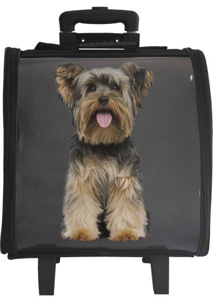 Siyah Taşıma Çantası, Pratik ve Şık Evcil Hayvan Taşıma Çözümü fırsatları