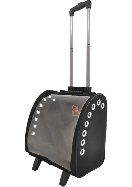 Siyah Taşıma Çantası, Pratik ve Şık Evcil Hayvan Taşıma Çözümü indirimleri