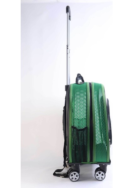 Yeşil Büyük Plastik Taşıma Çantası, Fileli, Konforlu ve Güvenli Evcil Hayvan Taşıma fiyatları