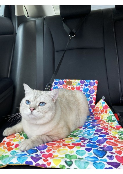 Seyahat Için Kedi ve Küçük Irk Köpek Taşıma Seti, Sarı Renk, Taşıma ve Konfor Sağlar