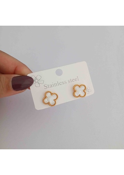 Çelik Gold Beyaz Yonca Küpe fiyatları