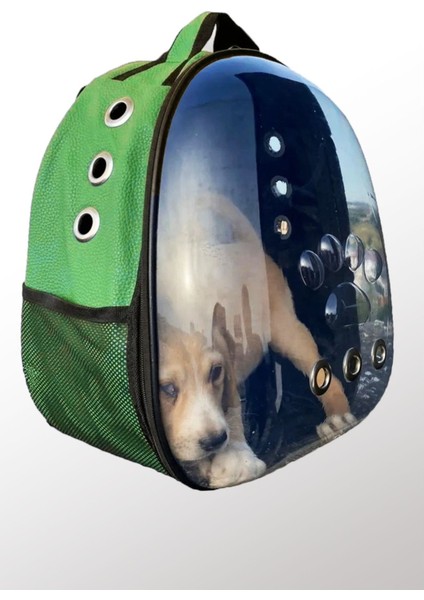 Çok Renkli Yeşil Deri Kedi Taşıma Çantası, El ve Sırt Çantası, 6 Hava Kanalı