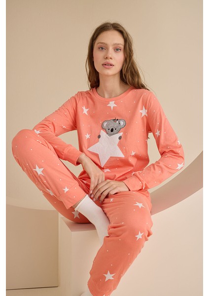 Somon Koala Yıldızlı Pijama Takımı fiyatları